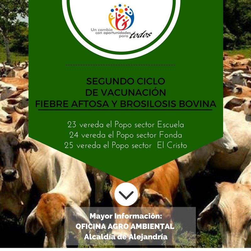 Segundo cliclo de Vacacunaci�n Brosilosis Bovina y fiebre Aftasa. 